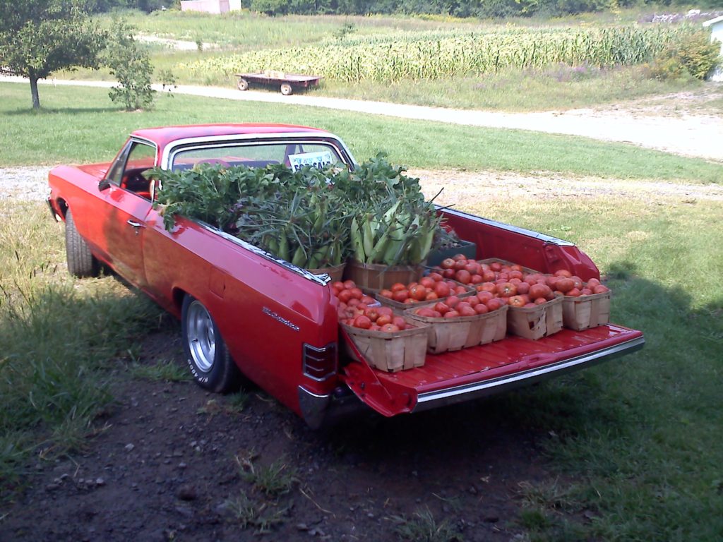 ElCaminoHarvest
